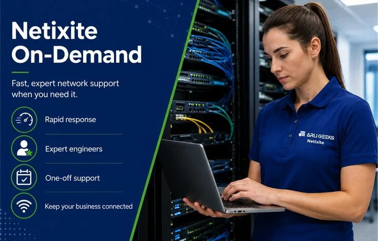 IT specialist providing remote helpdesk support to a business user